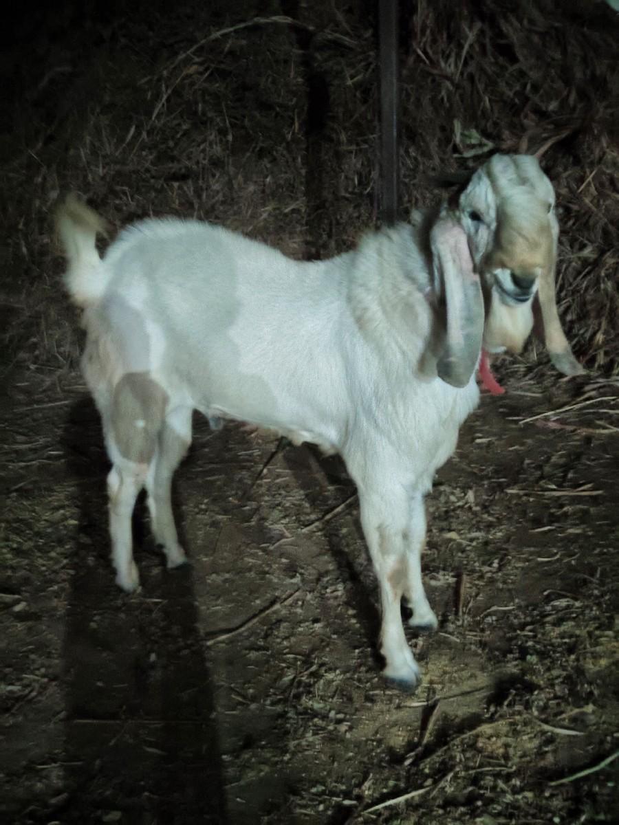 થંબનેલ 3