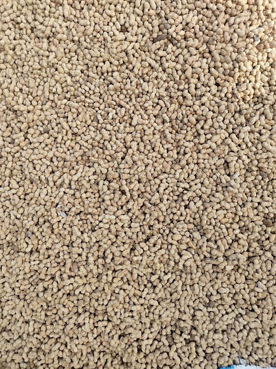 66નંબર માડવી