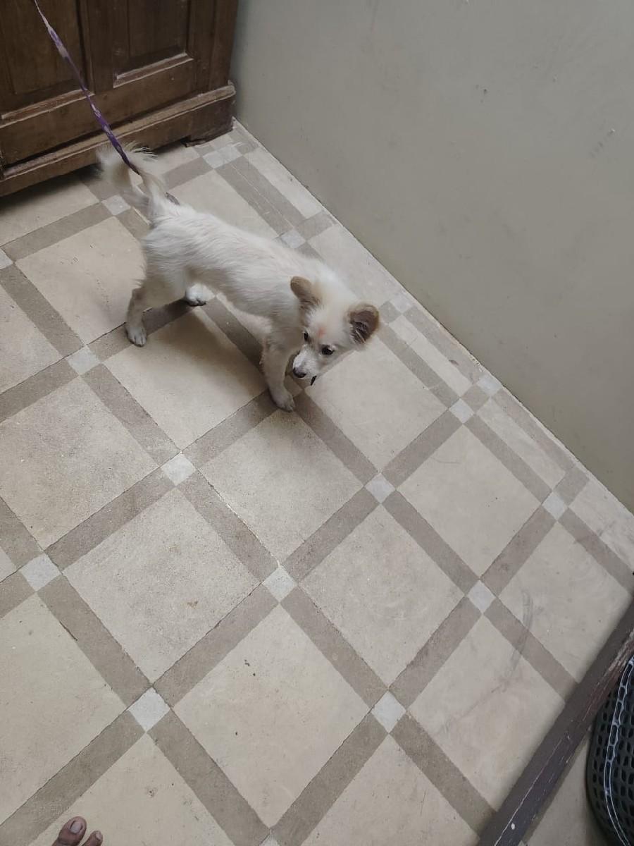 थंबनेल 2