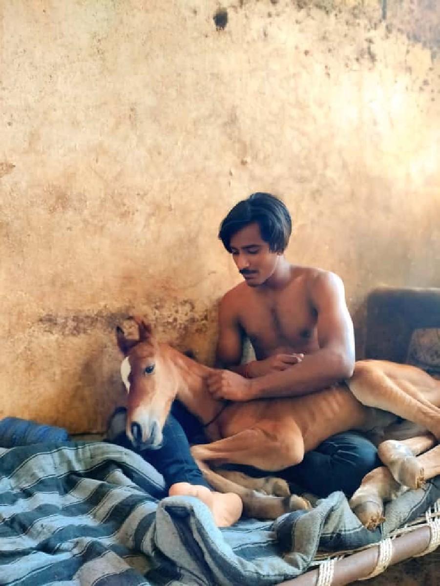 વછેરી ઘોડી વેચવાની છે