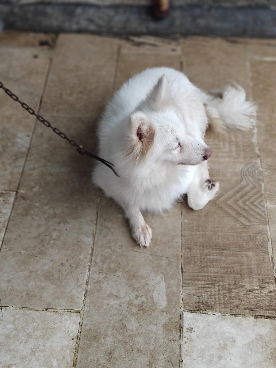 थंबनेल 3