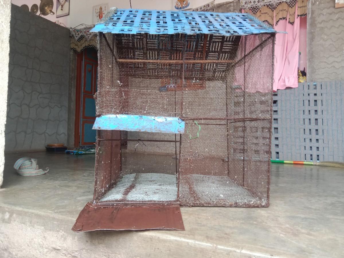 થંબનેલ 3