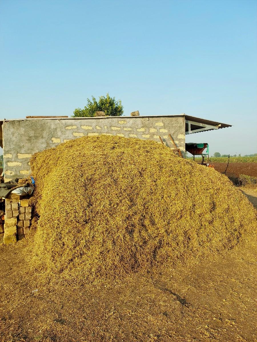 9 વિધાનો પાલો કોરો G20 nu sarolu