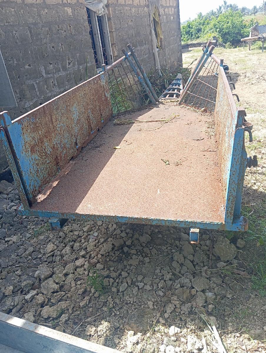 થંબનેલ 2