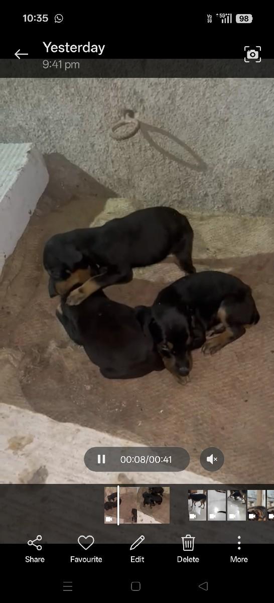 થંબનેલ 2