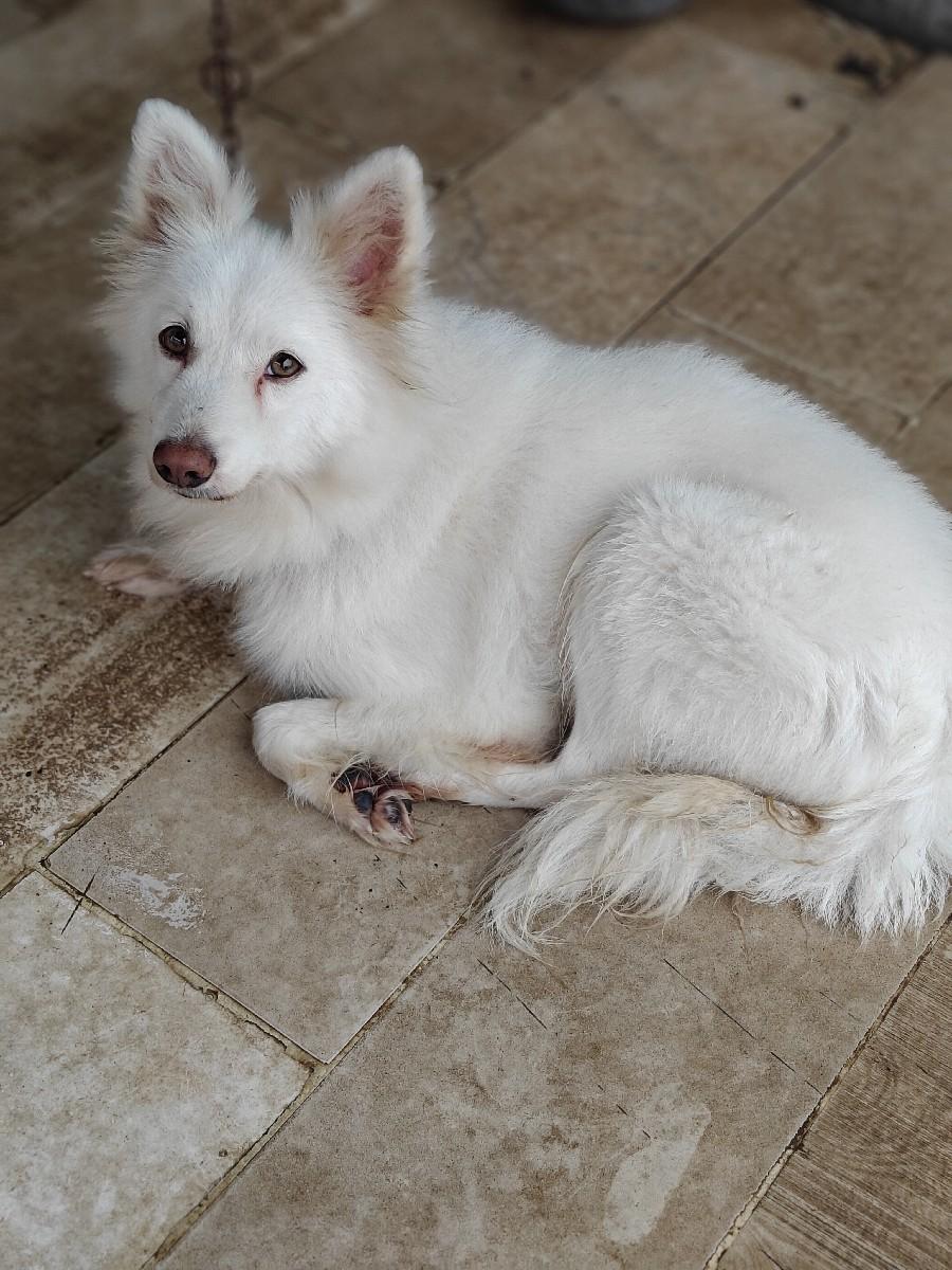 थंबनेल 2