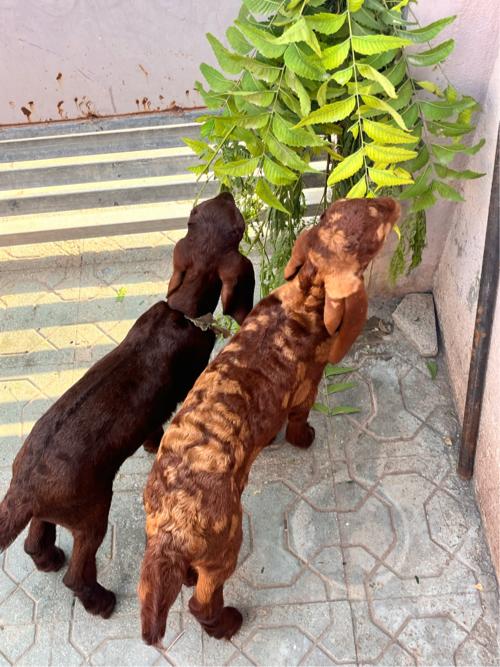 थंबनेल 2