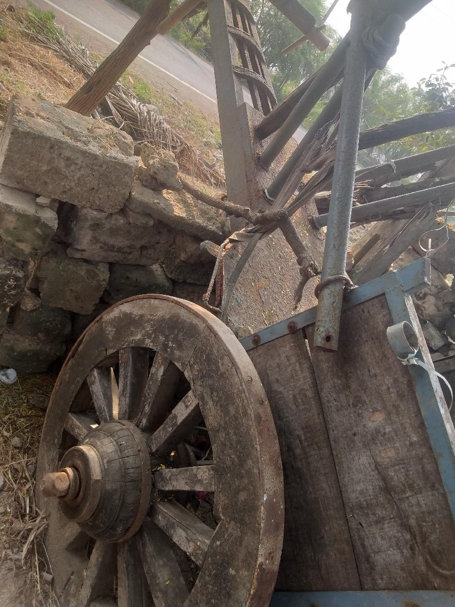 થંબનેલ 3