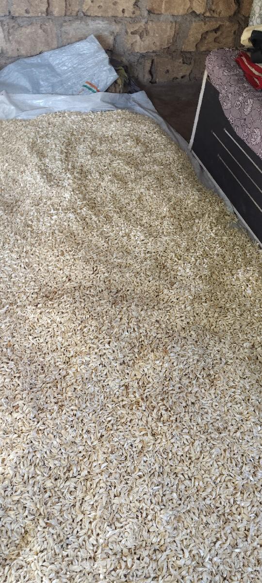 थंबनेल 3