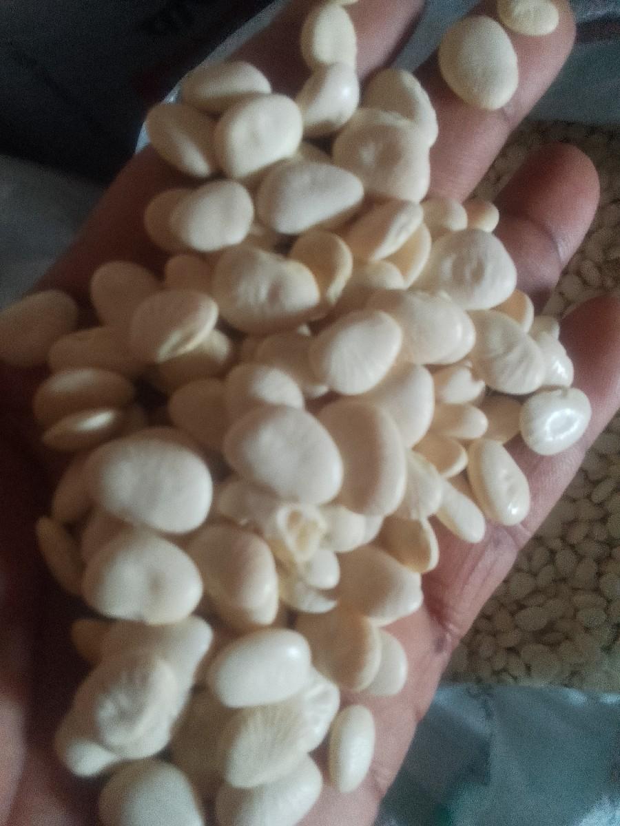 વાલનુબિયારણદેવાનુછે