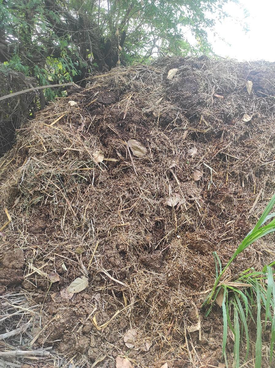 છાણીયુ ખાતર વેચવાનું છે