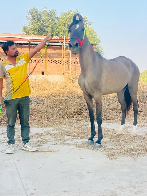 थंबनेल 2