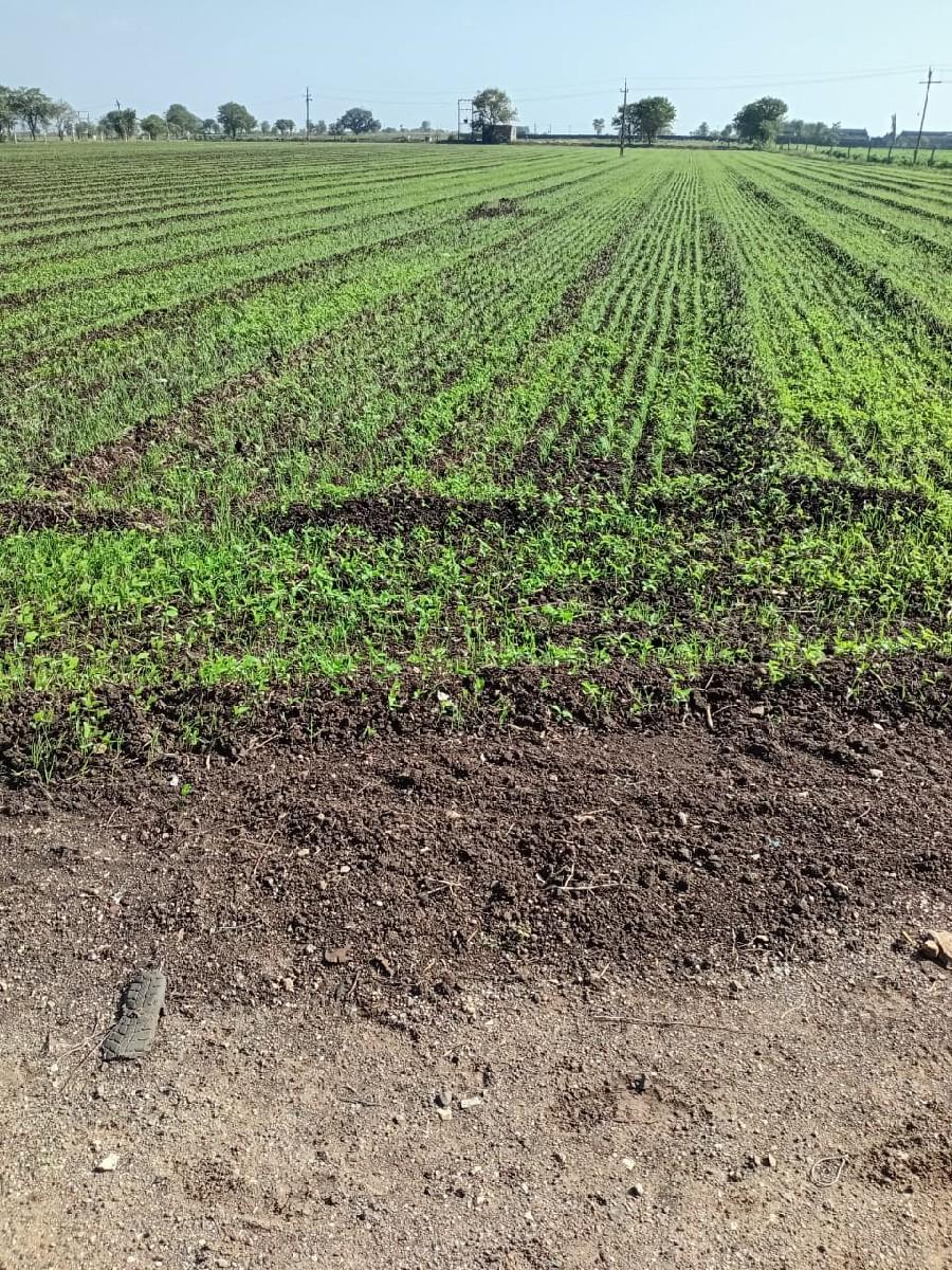 આ જમીન વેચવાની છે