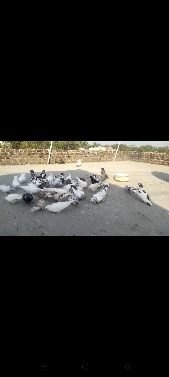 थंबनेल 3