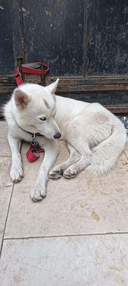 થંબનેલ 3