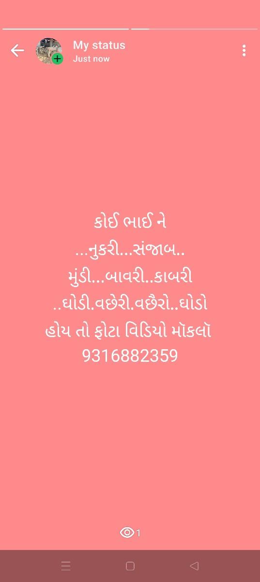 ઘોડી ઘોડો વછેરા વછૅરી મારે લેવાના છ