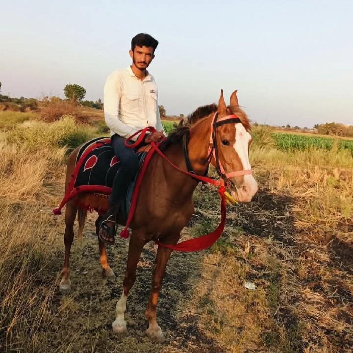 થંબનેલ 2