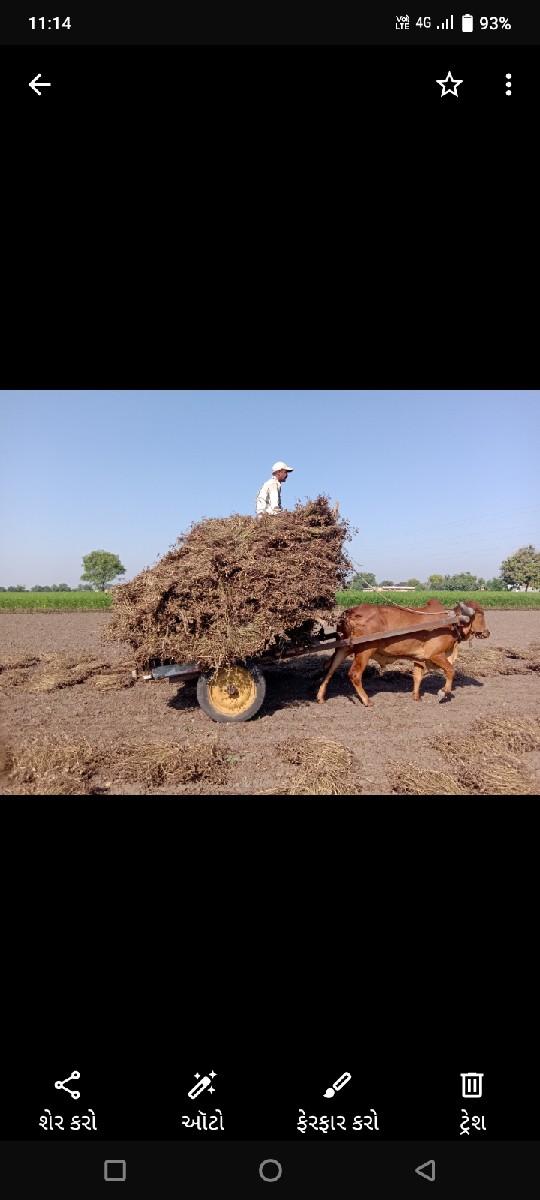 બળદને ગાડું વેચવાનું છે