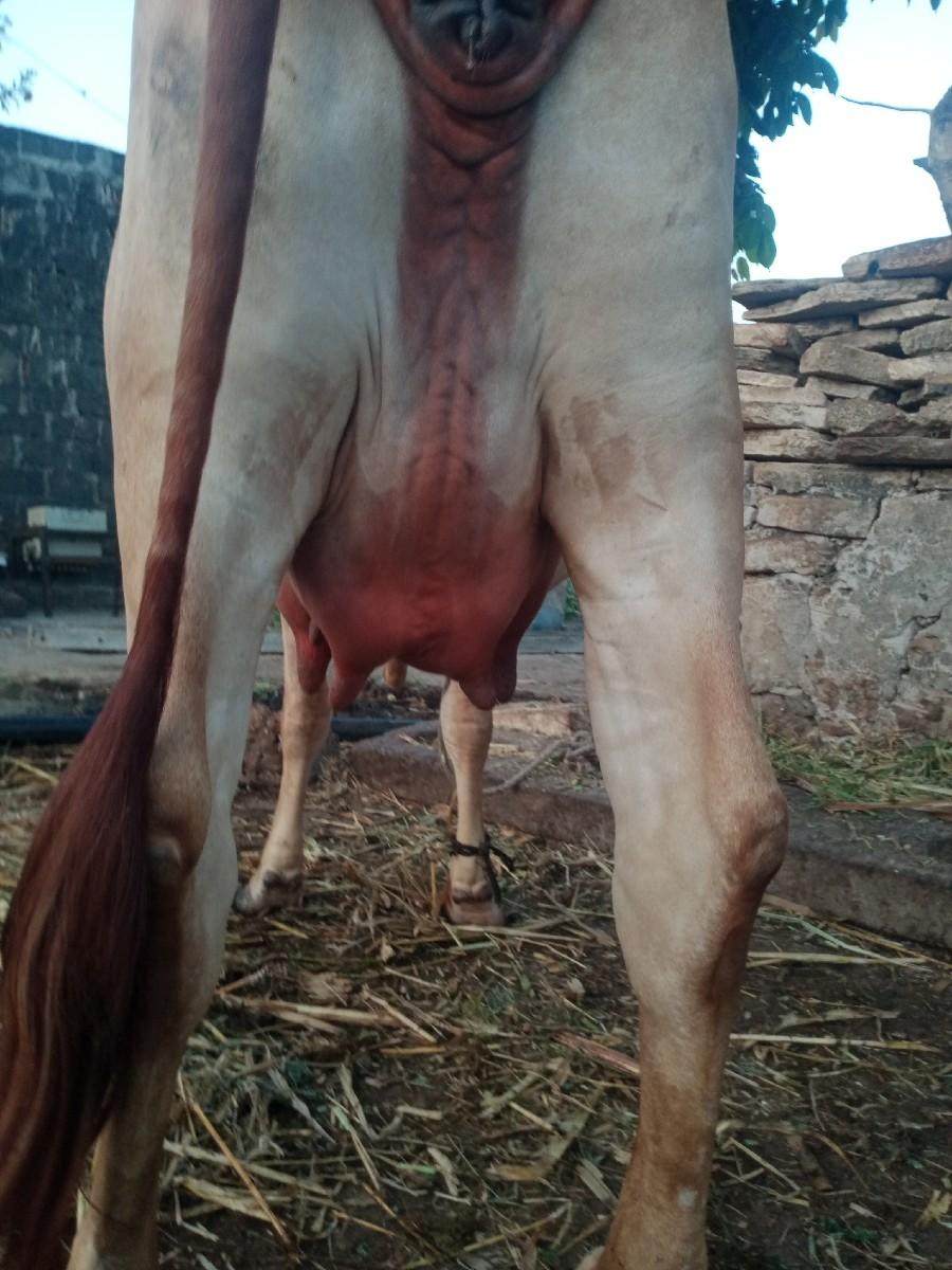 થંબનેલ 2