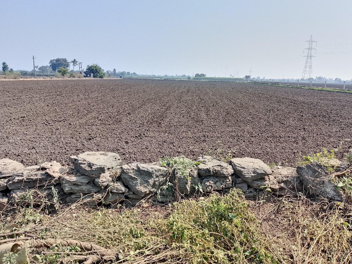 થંબનેલ 3