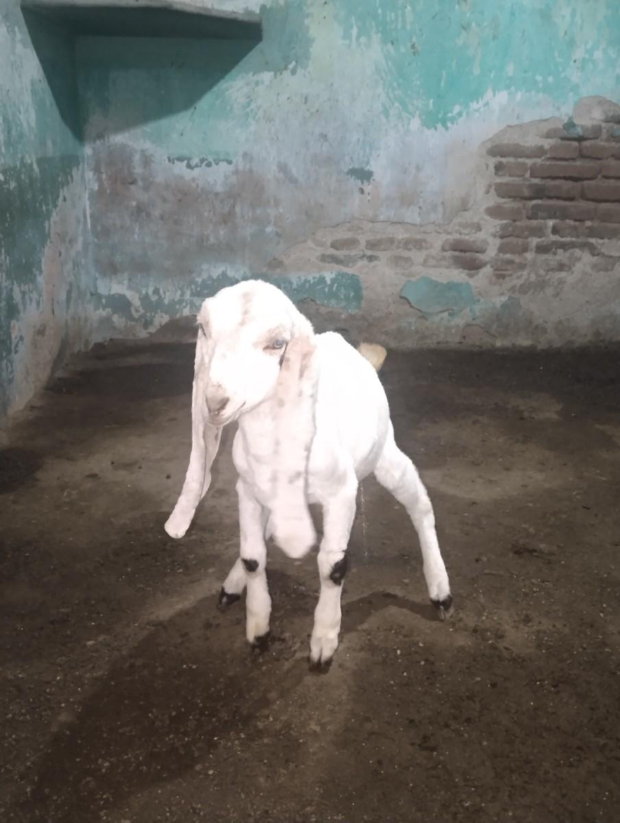 થંબનેલ 2