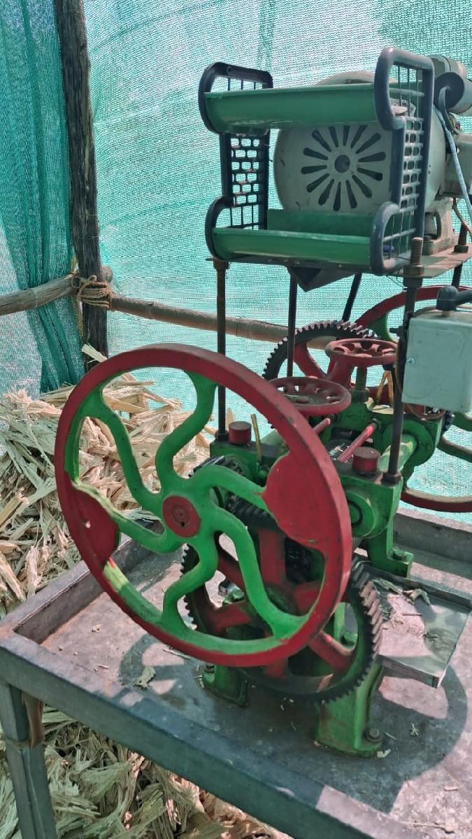 શીસોડો વેચવાનો છે