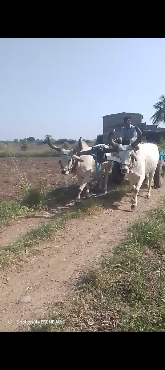 थंबनेल 2