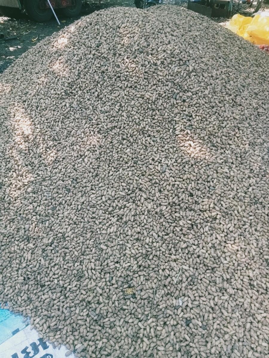 જી૨૦ .. 0%ડેમેજ