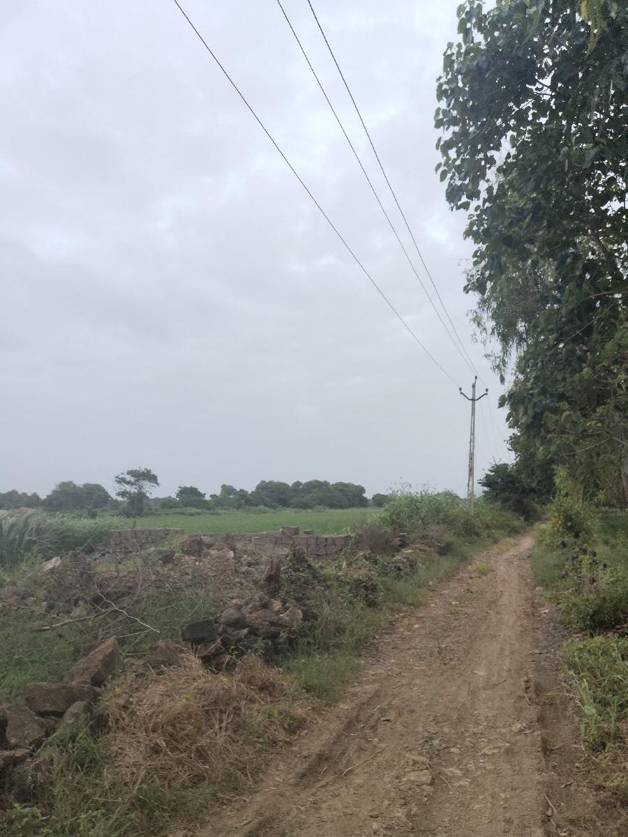 थंबनेल 3