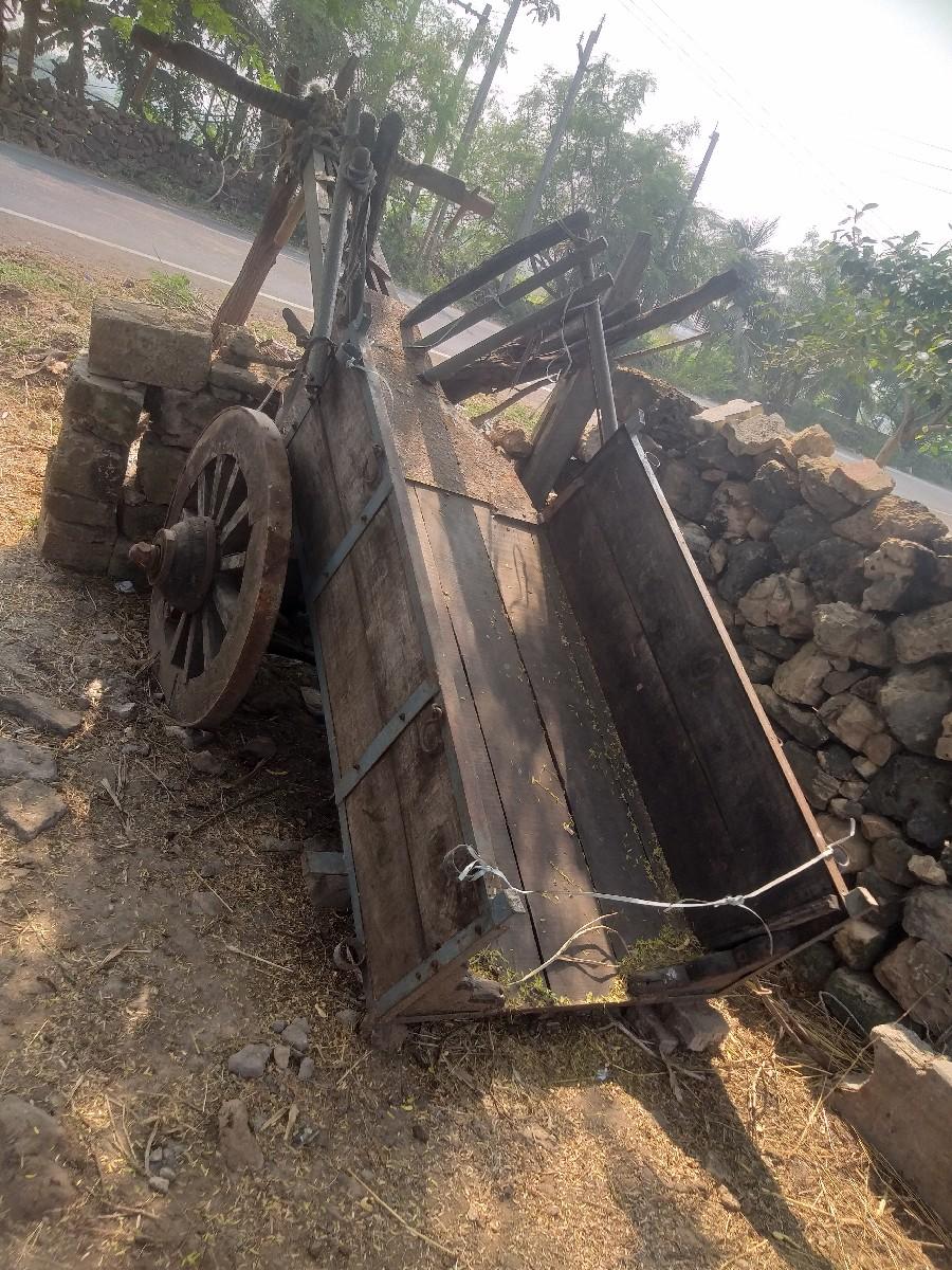 થંબનેલ 2