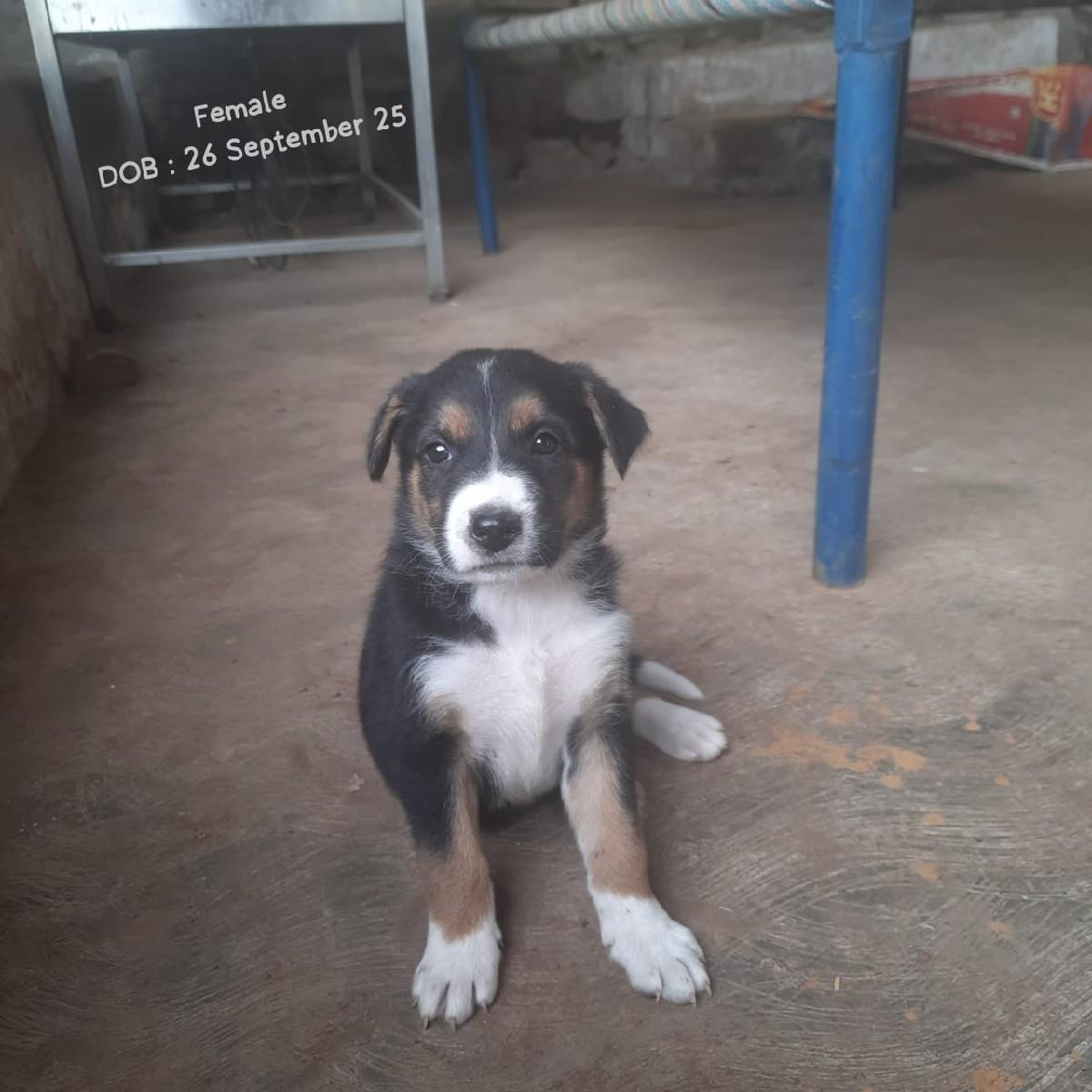 थंबनेल 2