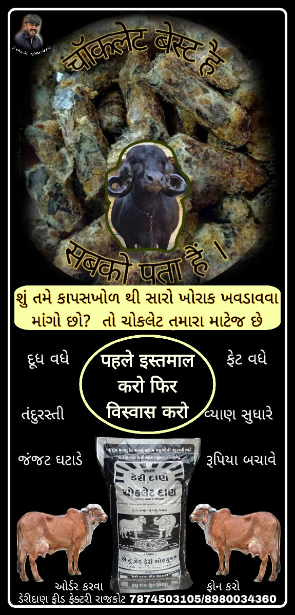 थंबनेल 5