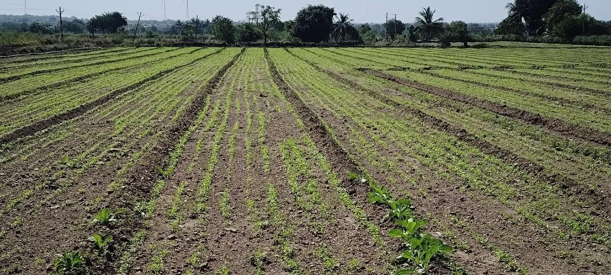 પ્લોટ વેચવાનો છે