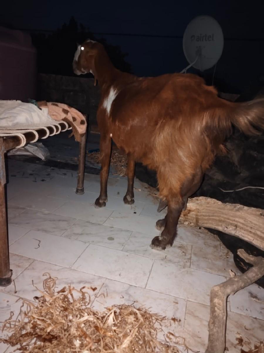 थंबनेल 2