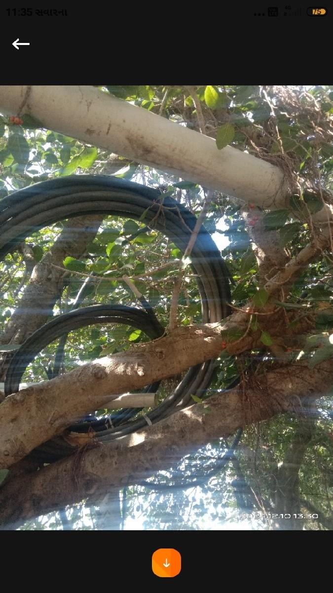 બંબો વેંચવાનો છે