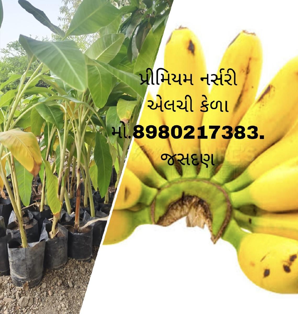 थंबनेल 5