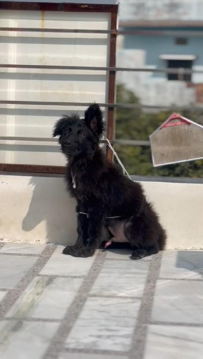 थंबनेल 2