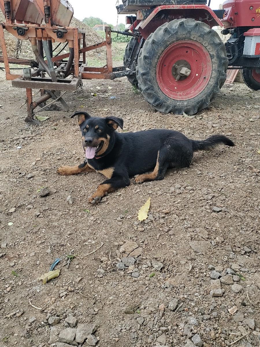 થંબનેલ 2