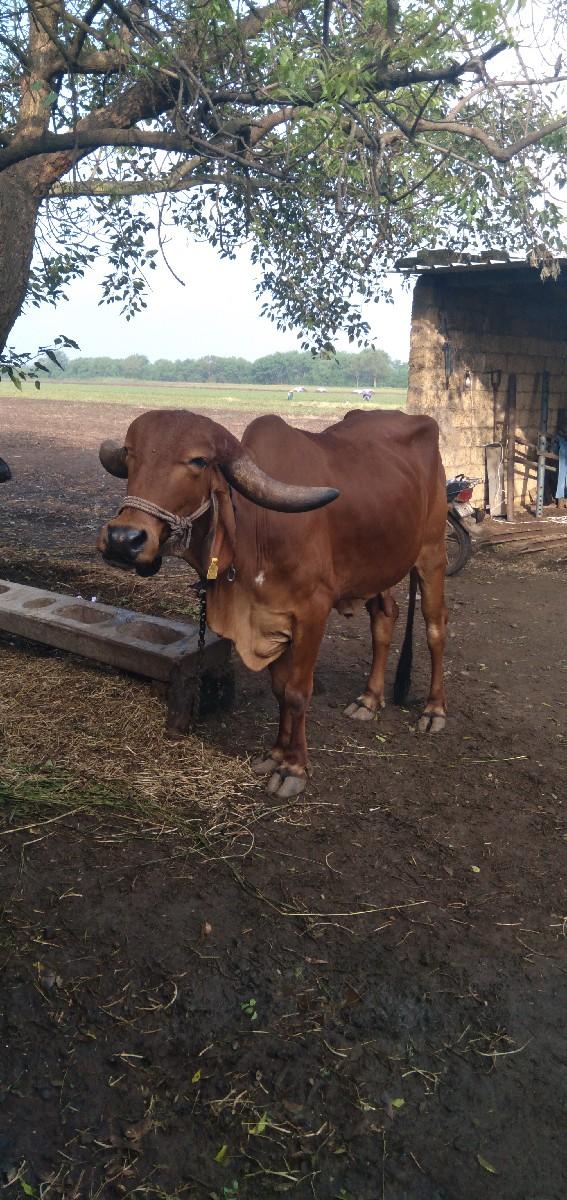 થંબનેલ 2