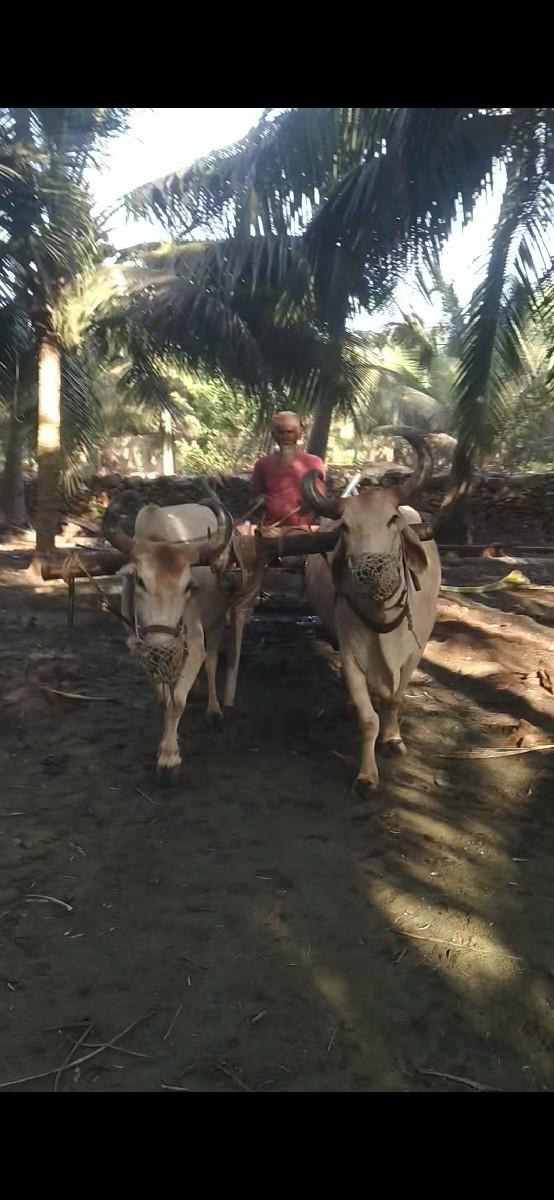 थंबनेल 3