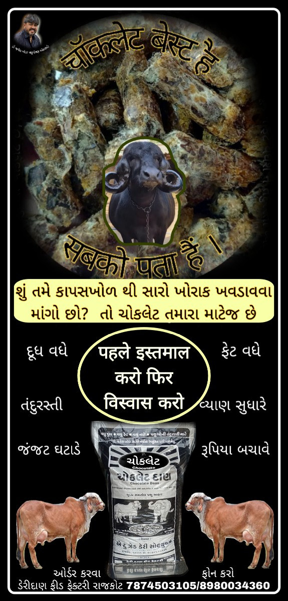 થંબનેલ 4