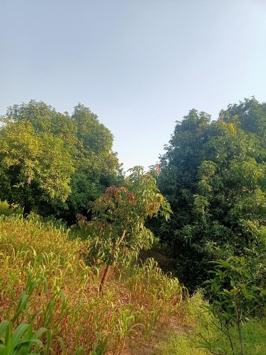 જમીન લેવા માટે કોન્ટેક્ટ કરો