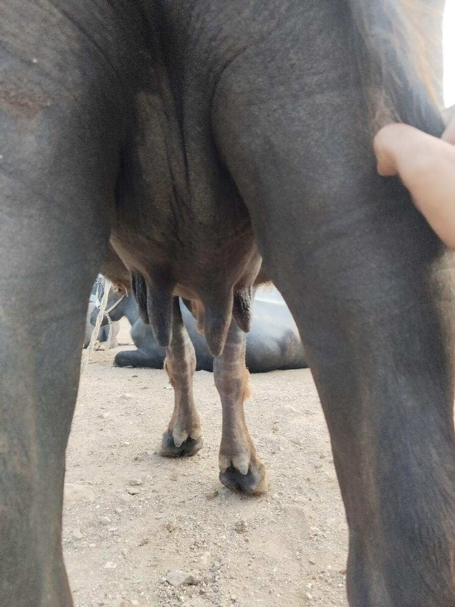 थंबनेल 3