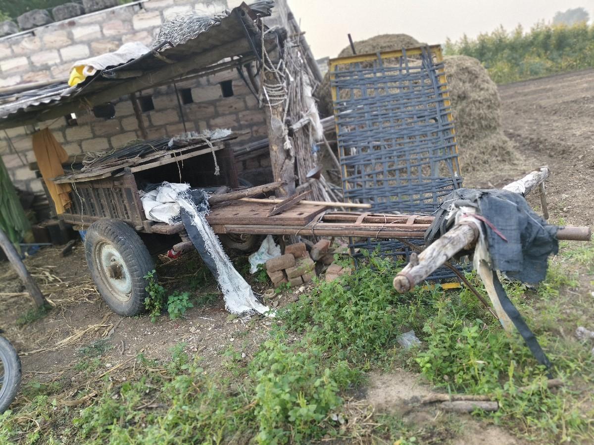 થંબનેલ 3