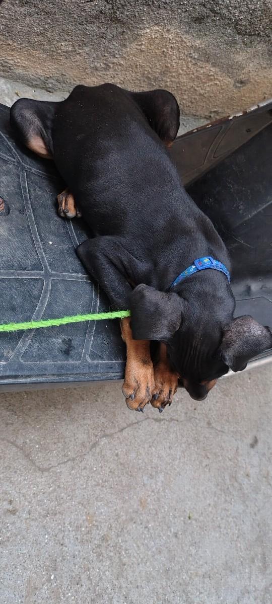 थंबनेल 3