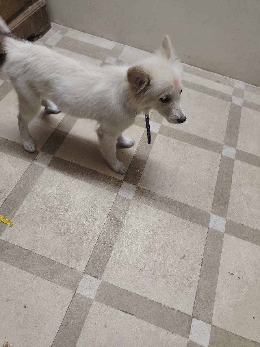 थंबनेल 3