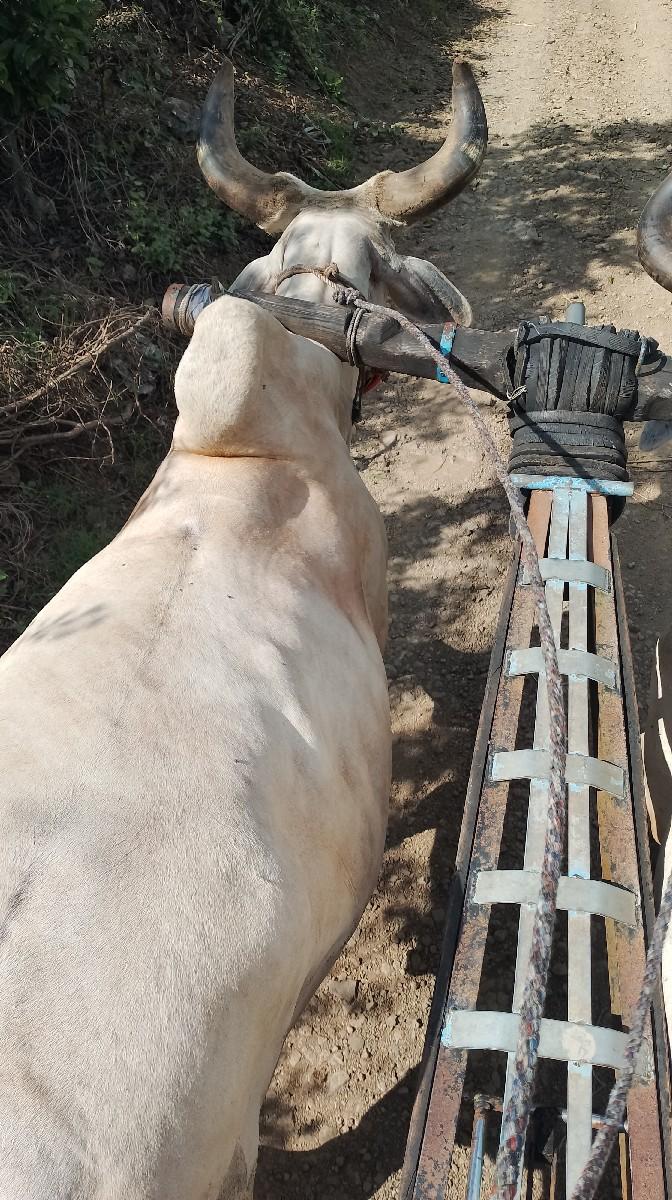 थंबनेल 3