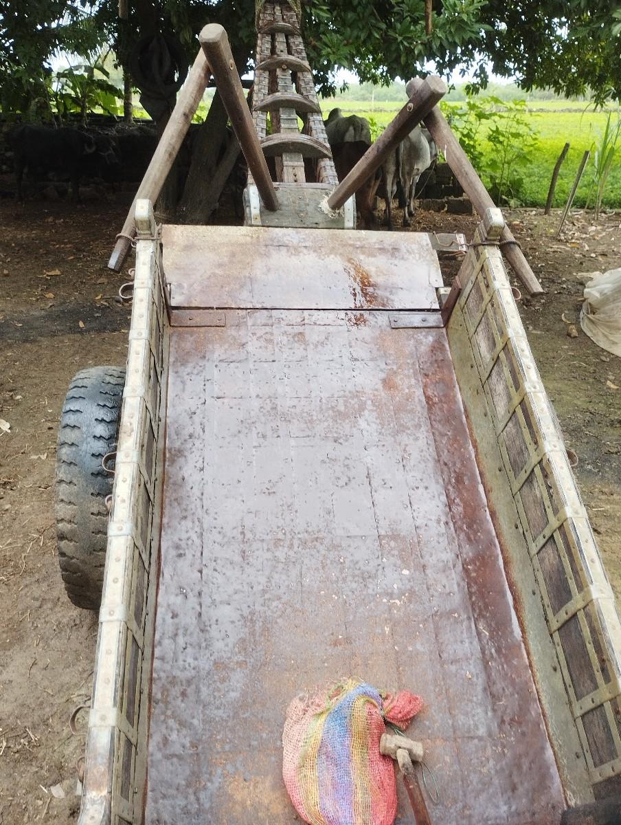 थंबनेल 3