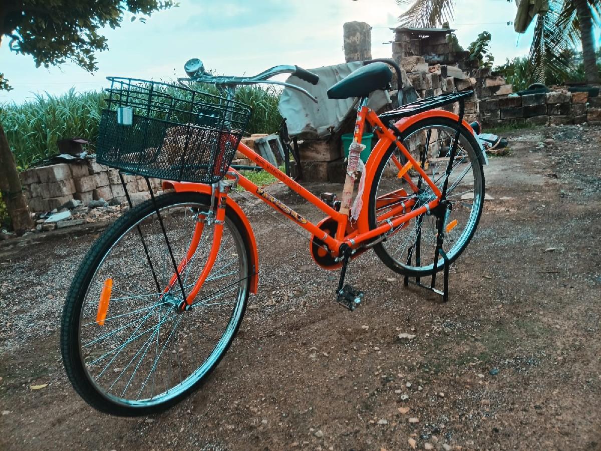 थंबनेल 3