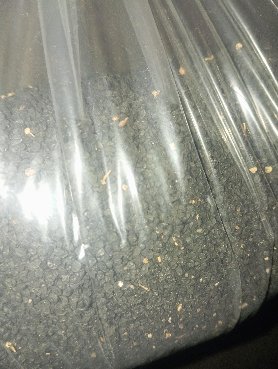 dungri  bi veshavanu che